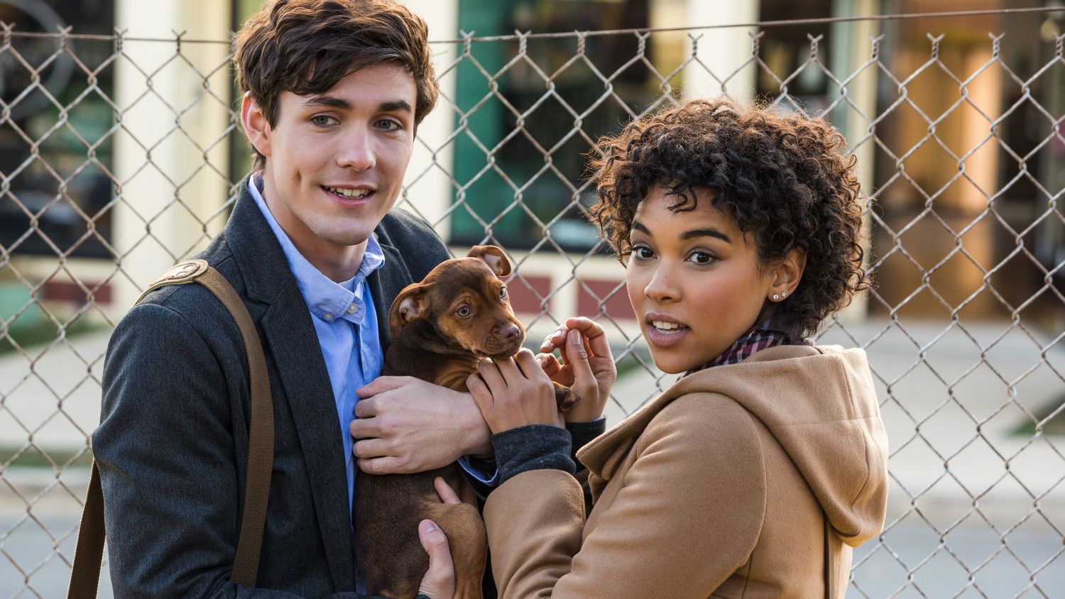 Netflix O Psie Który Wrócił Do Domu O psie, który wrócił do domu (2019) - Mediakrytyk